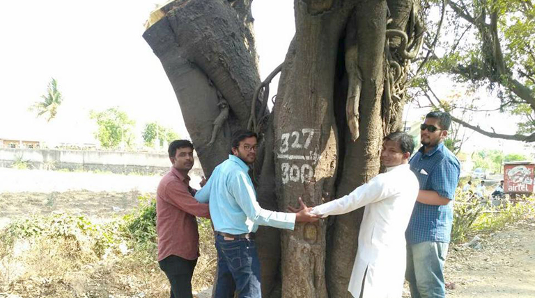 Save Tree Grow Tree